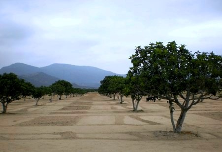 ??????????????????????