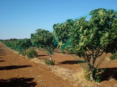 269164_482741061745737_1693109008_n