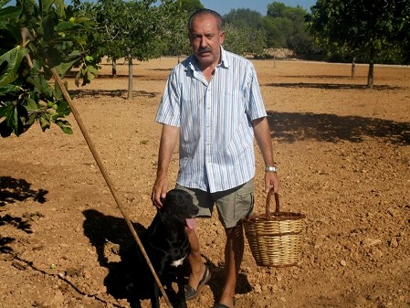 Montserrat Pons i Boscana