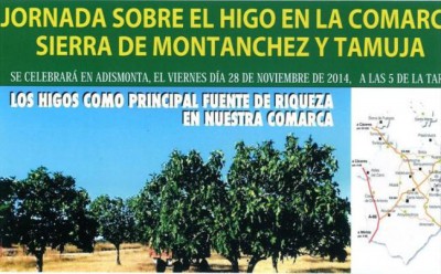 jornadas en adismonta