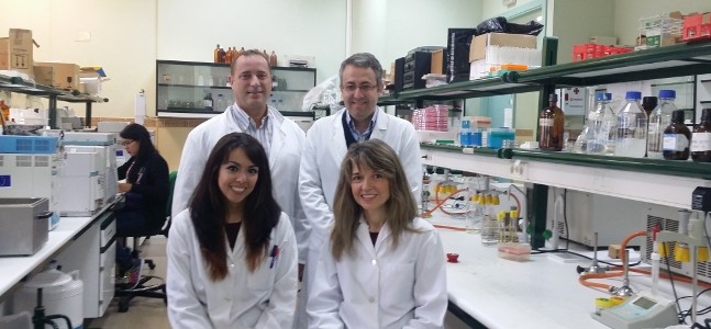 Equipo completo que ha trabajado en la tesis