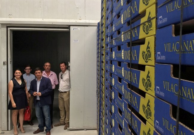 cooperativa_breva_san_isidro_de_jimena