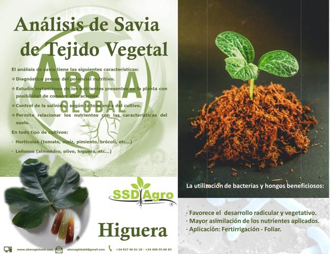 imagen-articulo-higos-and-figs-230519